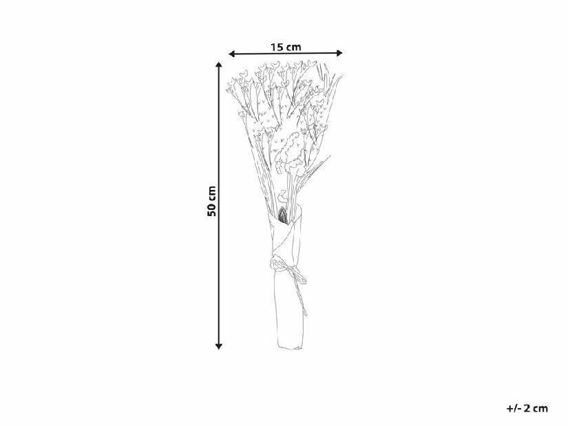 Buchet de flori uscate Zion (roz) 