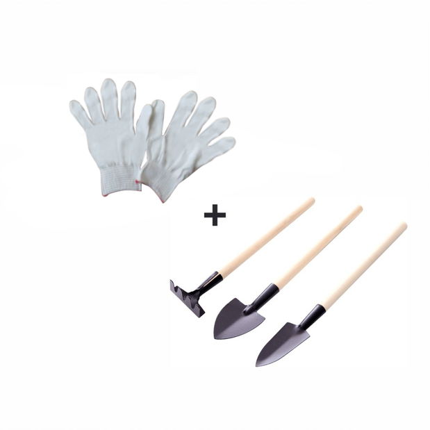 Regal tip 1 Neplo (bijela)