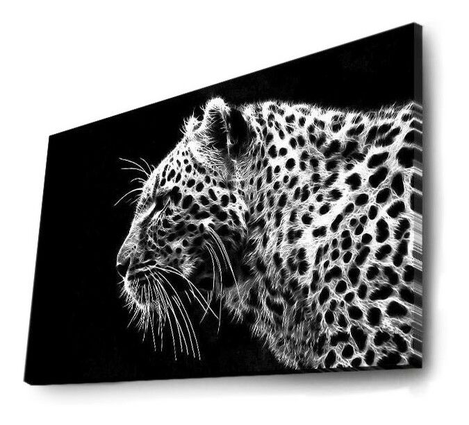 Obraz Abutilon *výpredaj