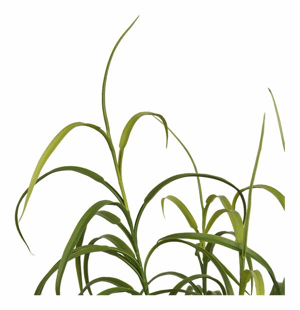 Umelá rastlina Geamona 2 (zelená)