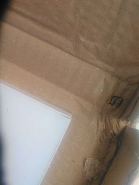 Raft Stanbridge 26 WW SW PW 1 *resigilat