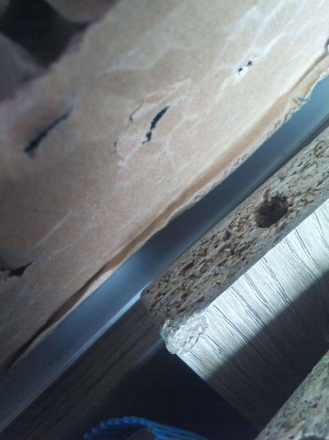 Jedálenský stôl (pre 4 osoby) Jared 102 (Orech + Biela) *bazár