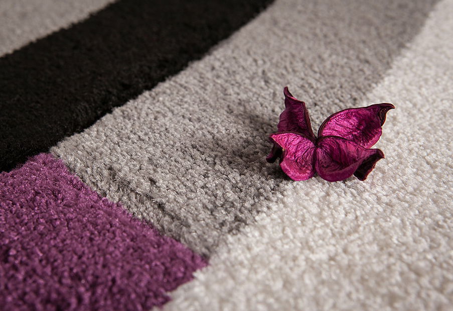 Szőnyeg Havanna Handcarving 409 Silver