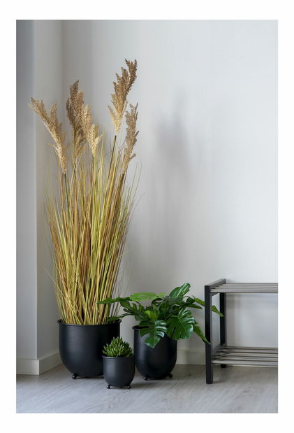 Umjetna ukrasna trava Sinmona (prirodna)