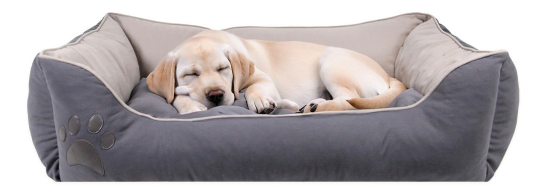 Peliešok pre domáce zviera Lucca M (sivá)