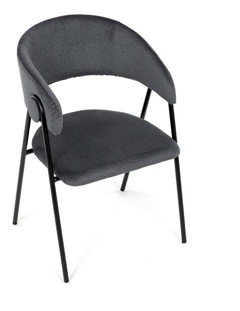 Scaun sufragerie Detractores (gri)