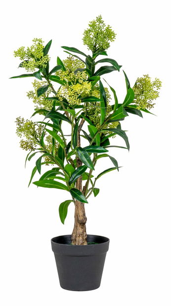 Strom Stalina (zelená)