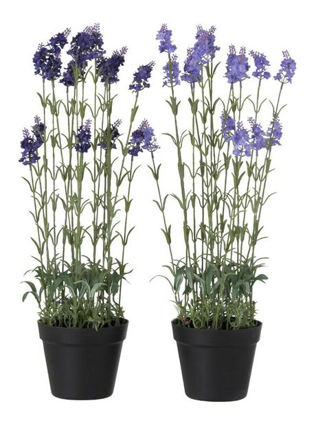 Kvetina Jolipa (16x16x66cm) (Fialová) (3ks)