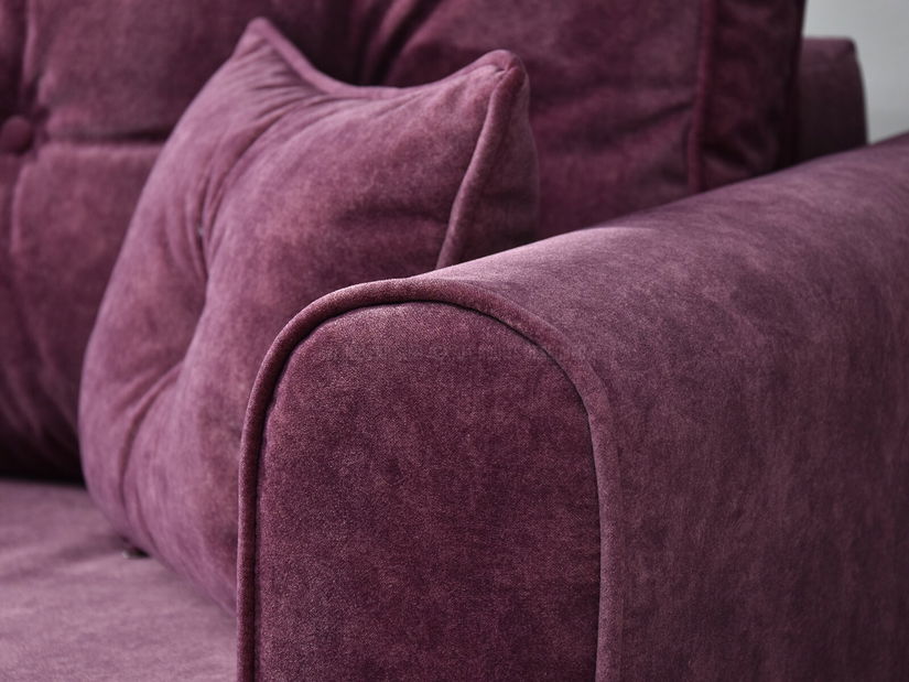 Dvosjed Bacteria (crna)