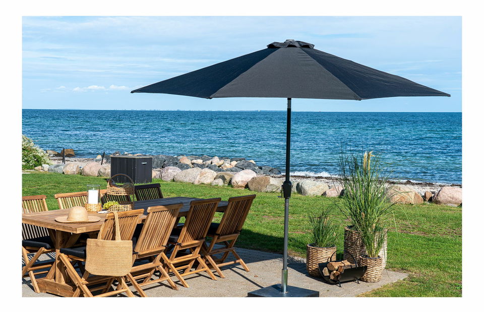 Slnečník Homira (čierna)