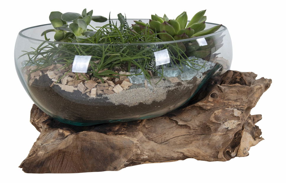 Dekorácia Sorelia 4 (prírodná)