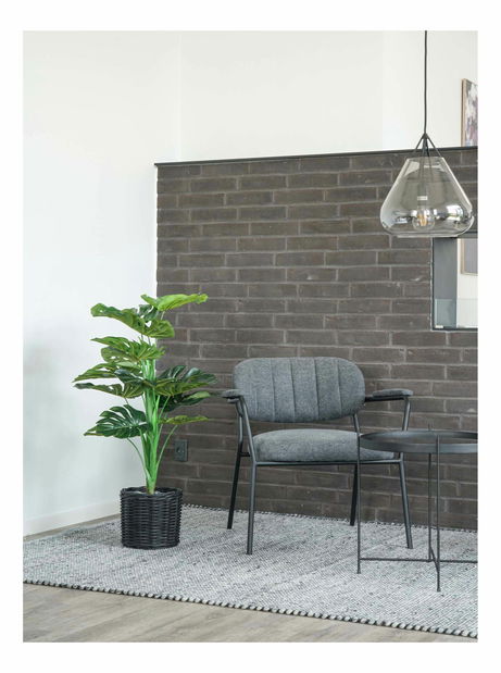 Monstera Minselia 1 (zelená)