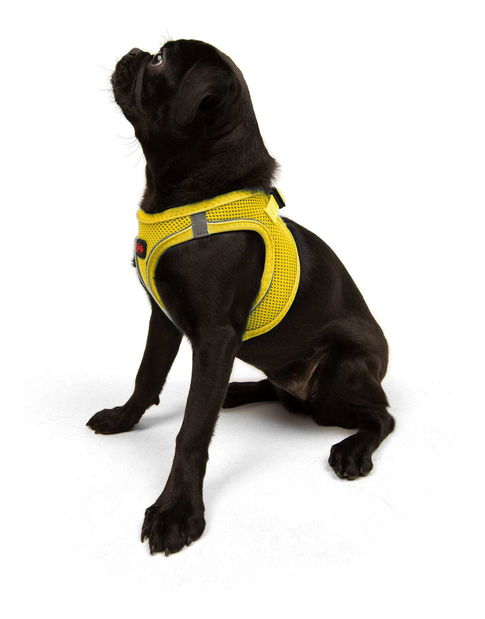 Postroj pre psa Airy (žltá) (S)