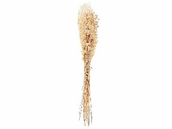 Buchet flori uscate Bruna (natural)