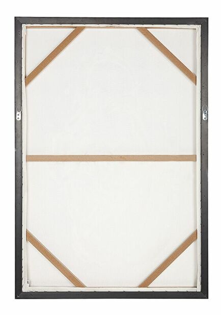 Obraz 63x93 cm ASATA (ružová)