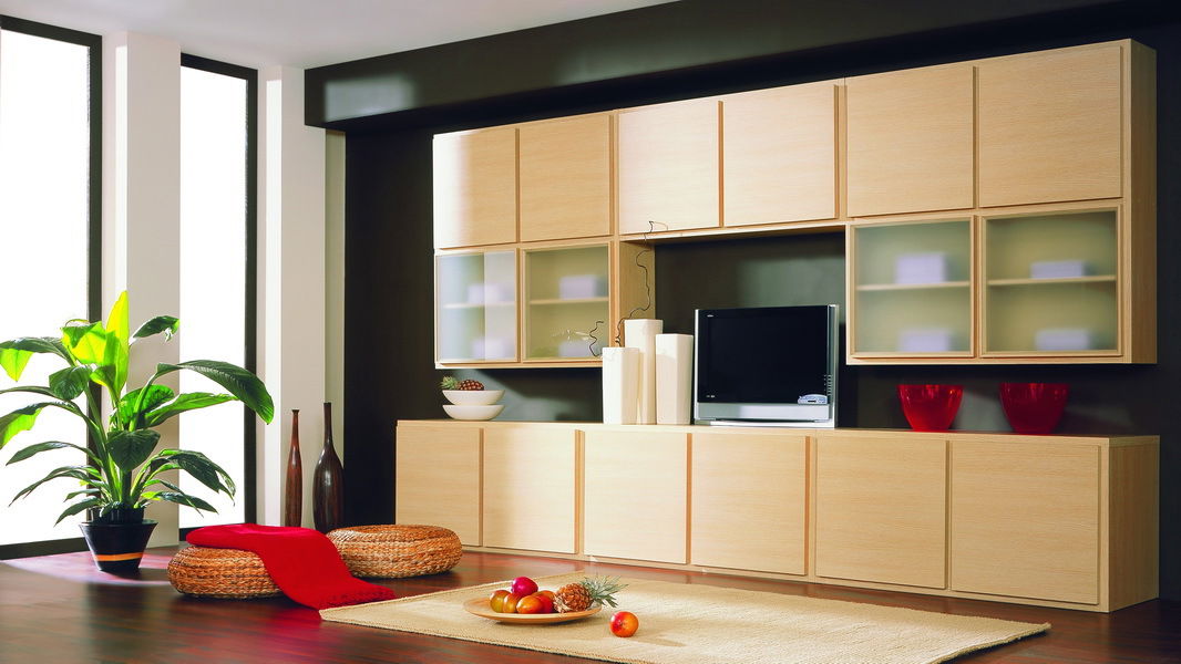 Dvierka BRW DOORS HFD 1616/520 