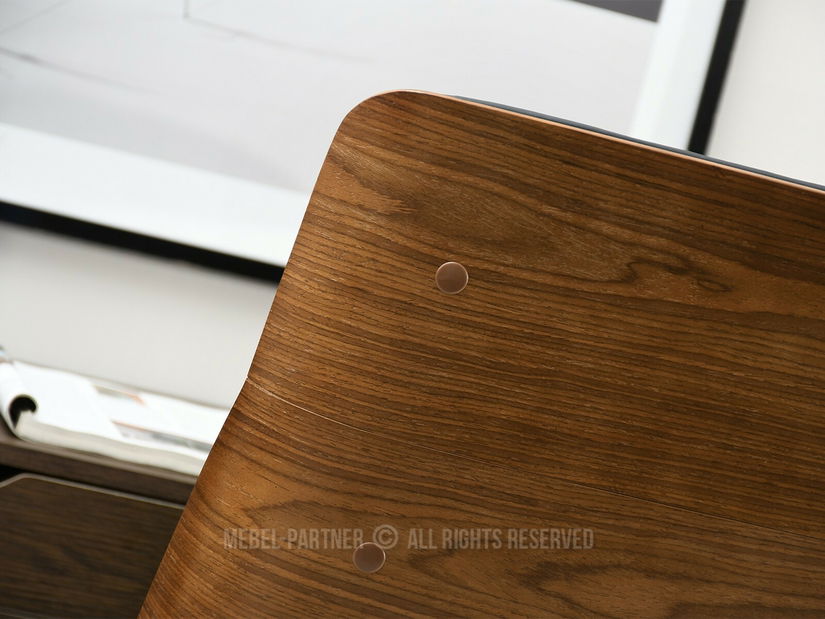 Fotoliu de birou Astindes (negru)