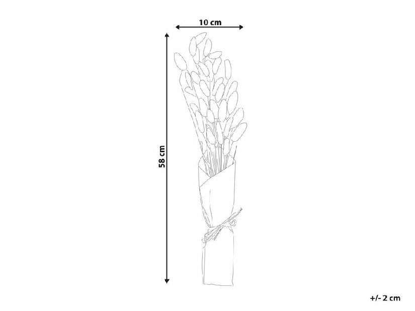 Buchet de flori uscate Sixta (natural) 