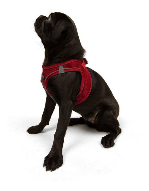 Postroj pre psa Airy (červená) (M) 1