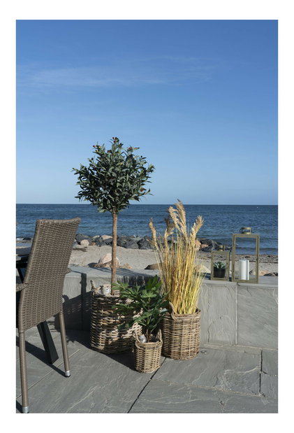 Set de 3 ghivece de flori din răchită Seamiraora (natural)