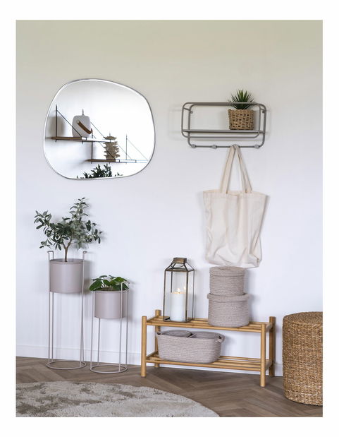 Olivovník Oslavia 1 (zelená)