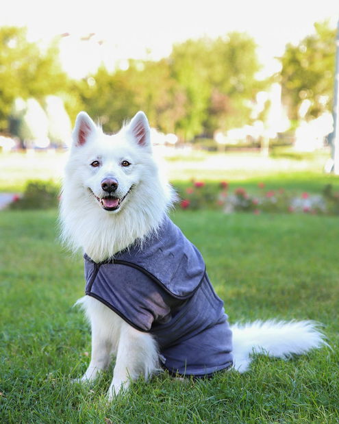 Oblečenie pre psa Drego 3 (sivá)