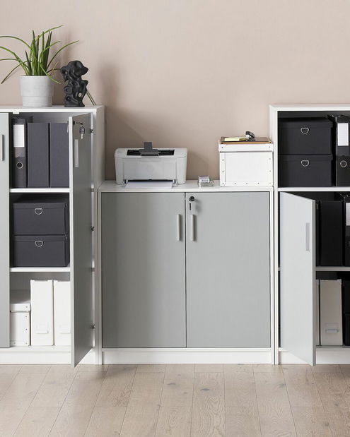 Dulap Zirkone (Alb + gri) 