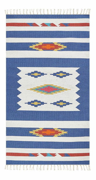 Koberec 80 x 150 cm Vase (viacfarebná)