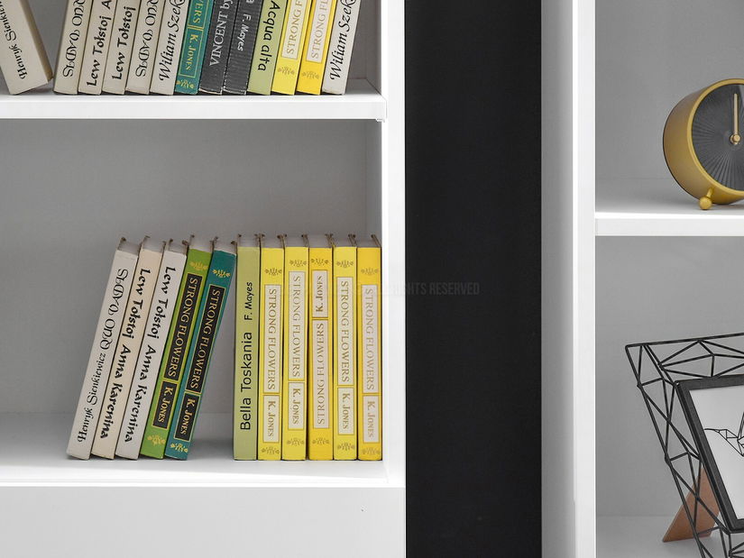 Mobilier living Lanzamiento 03 (alb)