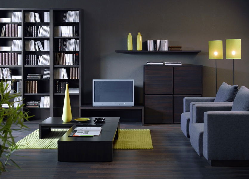 Dvierka BRW DOORS HFD 1616/520 