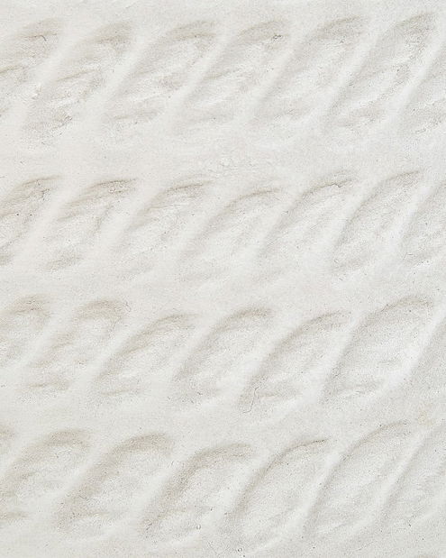 Ghiveci Livid 2 (alb)