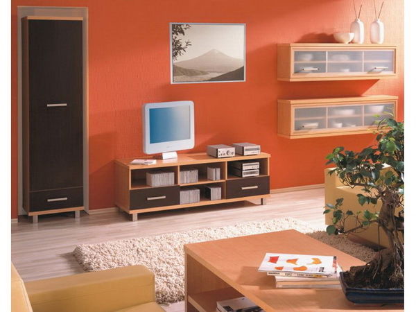 Skrinka Classic CL/10 Dub Amari