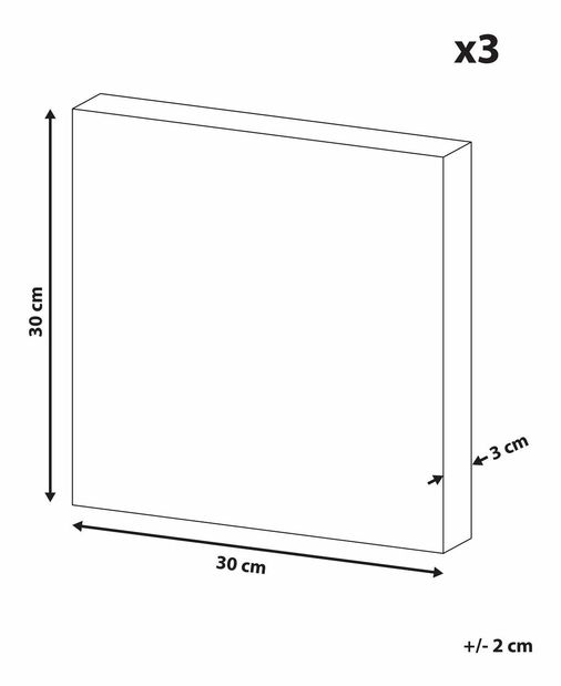 Set 3 ks. obrazov 30x30 cm BANGI (viacfarebné)