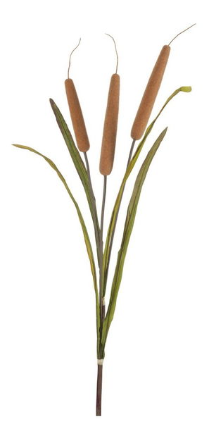 Kvetina Jolipa Army Autumn (107x0x0cm) (Béžová + Zelená)