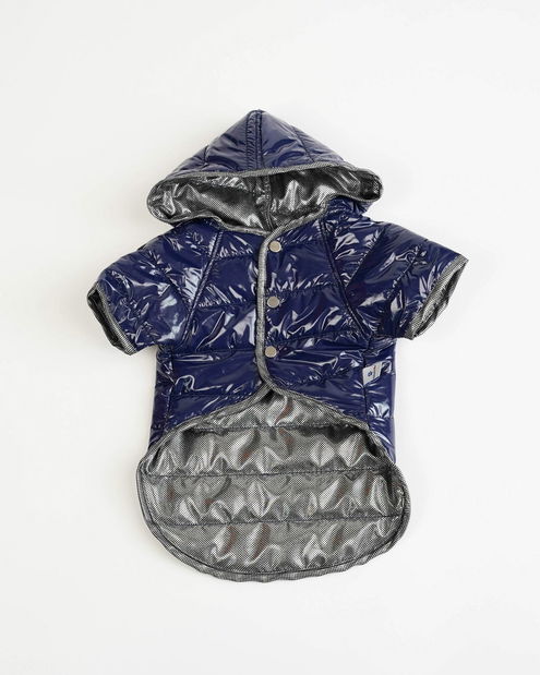 Bunda pre psa Monty (modrá) (L)