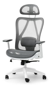 Uredska fotelja Derenis (siva + bijela)