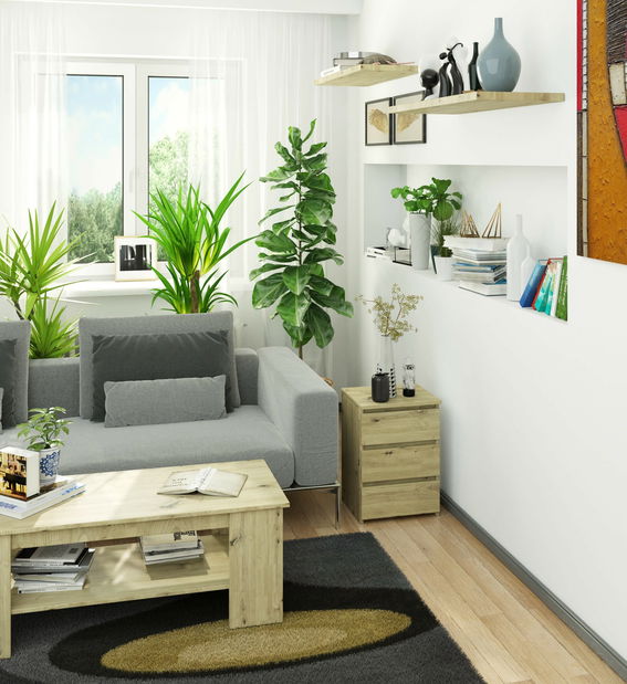 Komoda Cipriano (dub artisan)