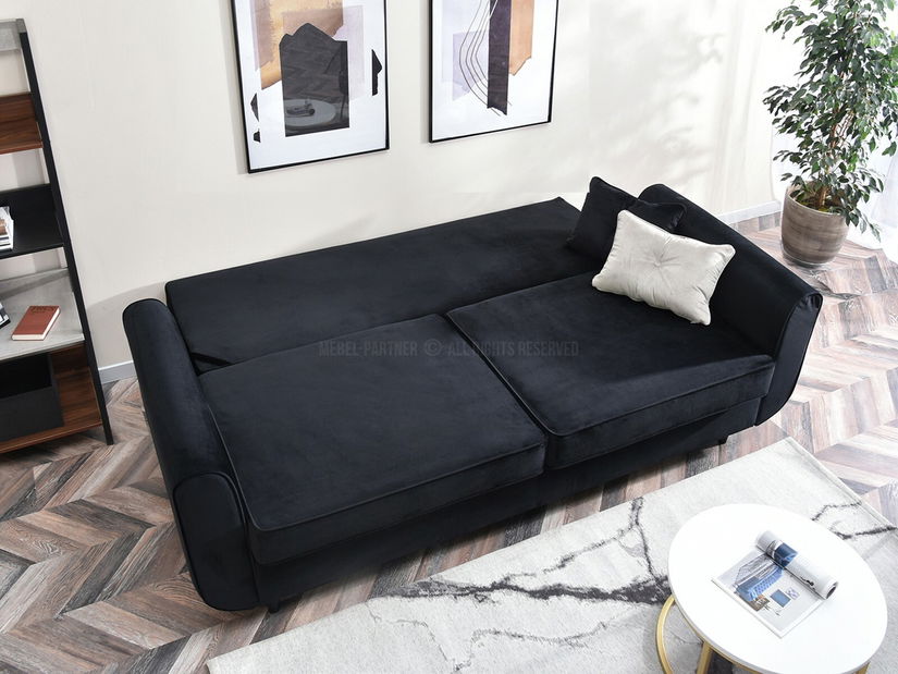 Dvosjed Bacteria (crna)