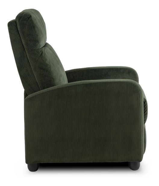 Fotoliu reglabil Dominaba (verde închis) 