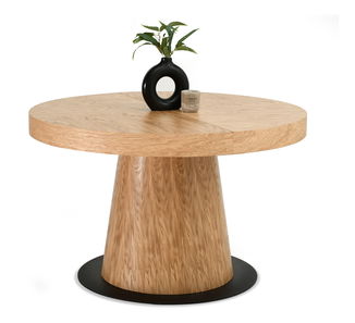 Jedálenský stôl Automoviles (dub + čierna)