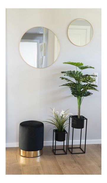 Monstera Minselia 1 (zelená)