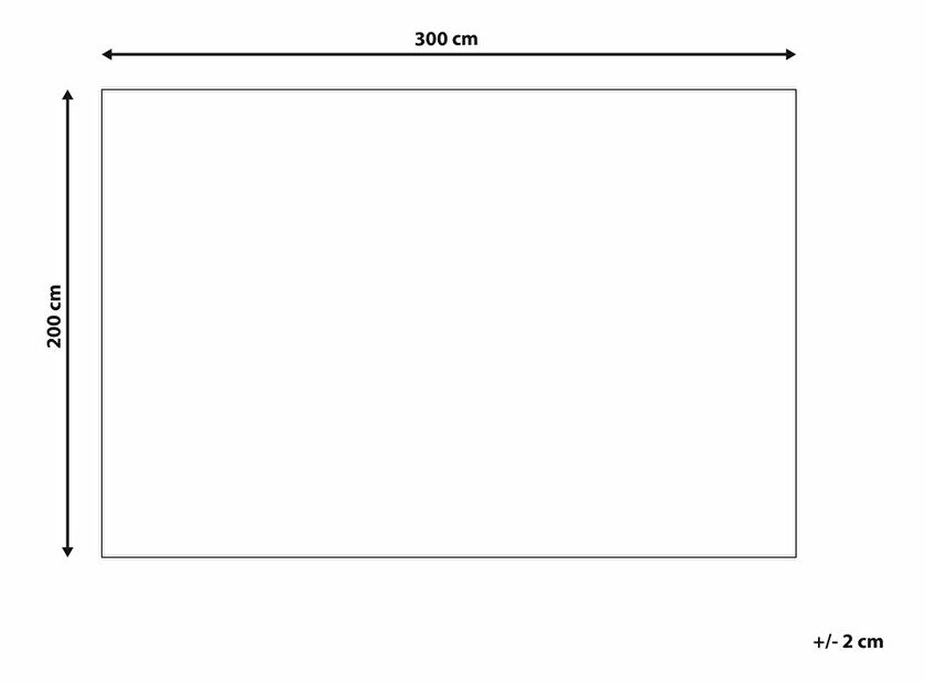 Covor 200 x 300 cm Ziaza (bej)