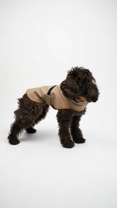 Bunda pre psa Shotly (béžová) (S)