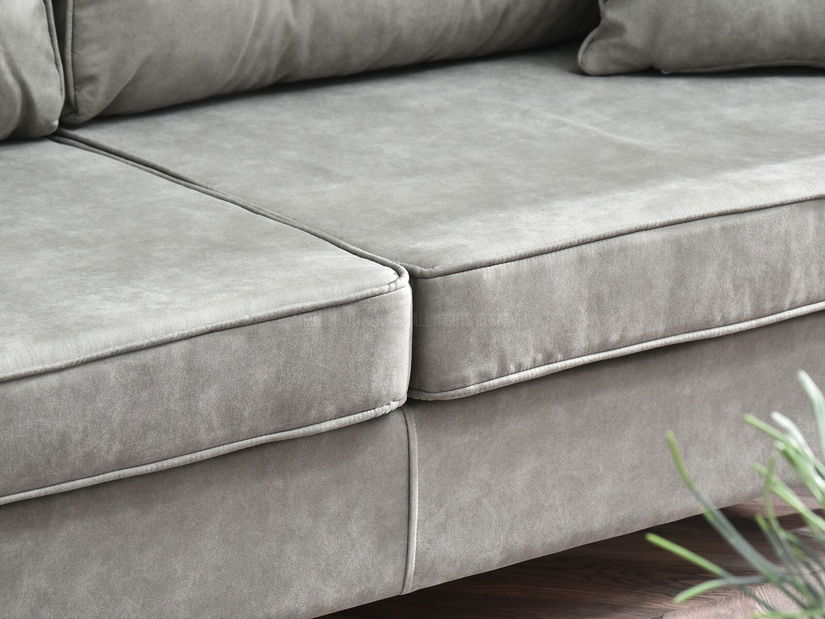 Dvosjed Bacteria (siva + orah)