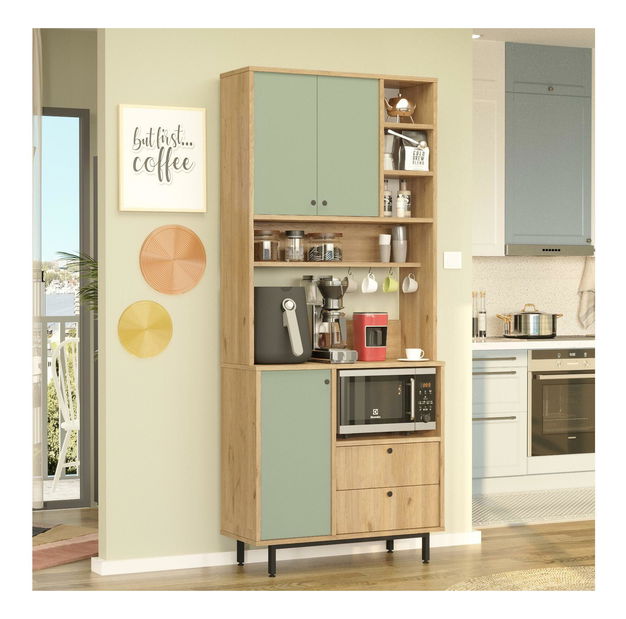 Polcos szekrény Rebutia 6 (tölgy + zöld)