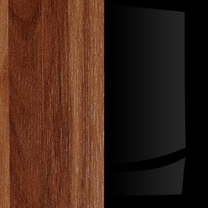 Slivka + Lesk čierny