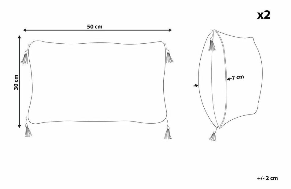 Set 2 perne decorative 45 x 45 cm Liri (alb + Negru)