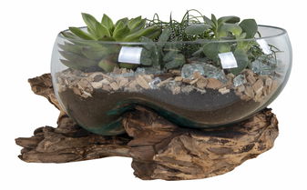 Decorațiuni Sorelia 4 (natural)