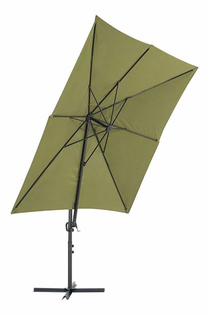 Slnečník Mosa (zelená)