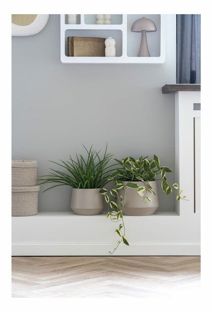 Tráva Geamona 1 (zelená)